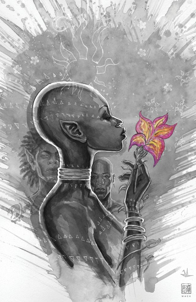Tales of Asunda #2: Waso and Dusu - David Mack (Retail)