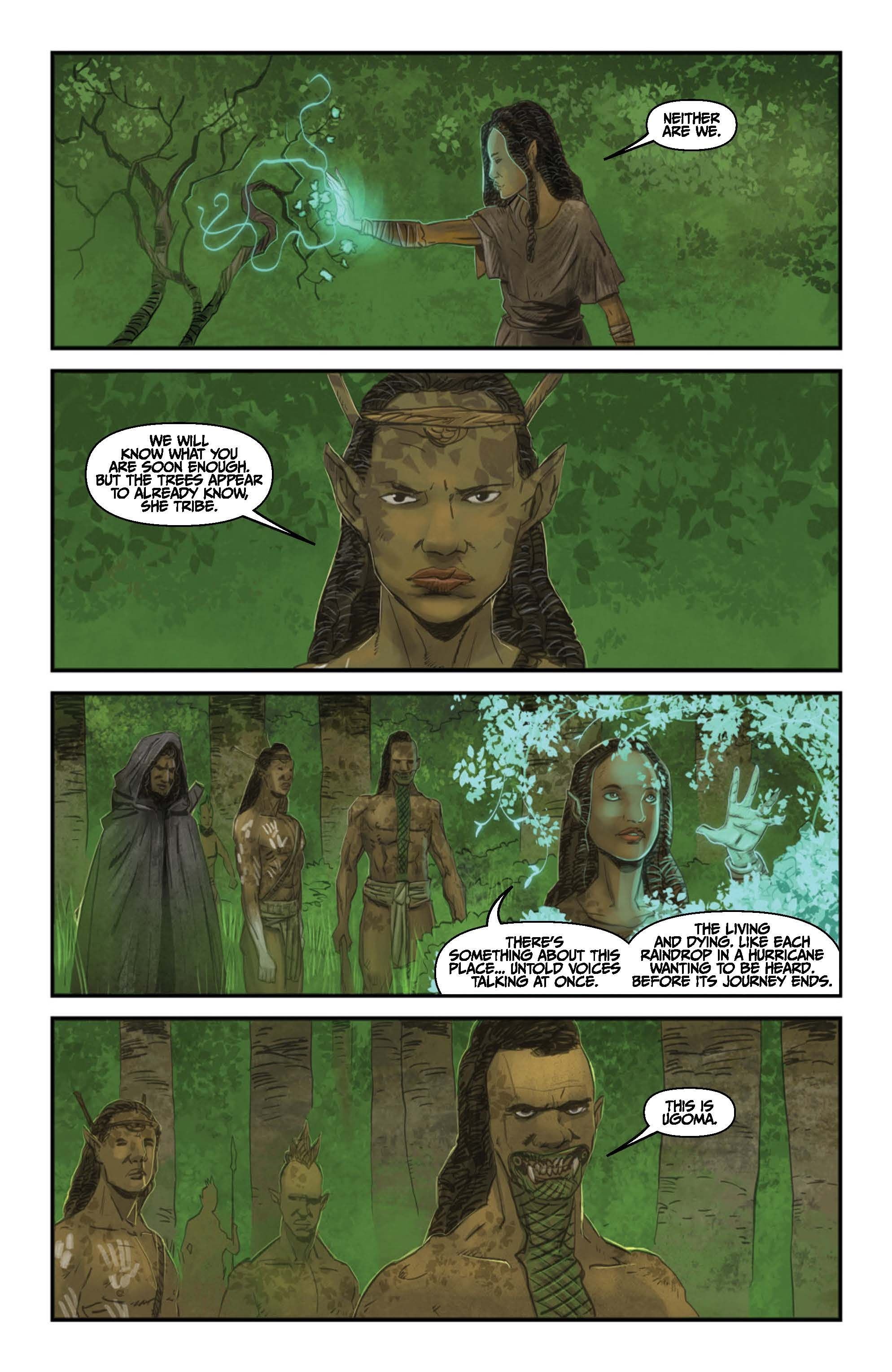 The Untamed: Still A Fool Vol. 3 #2 - Peter Bergting