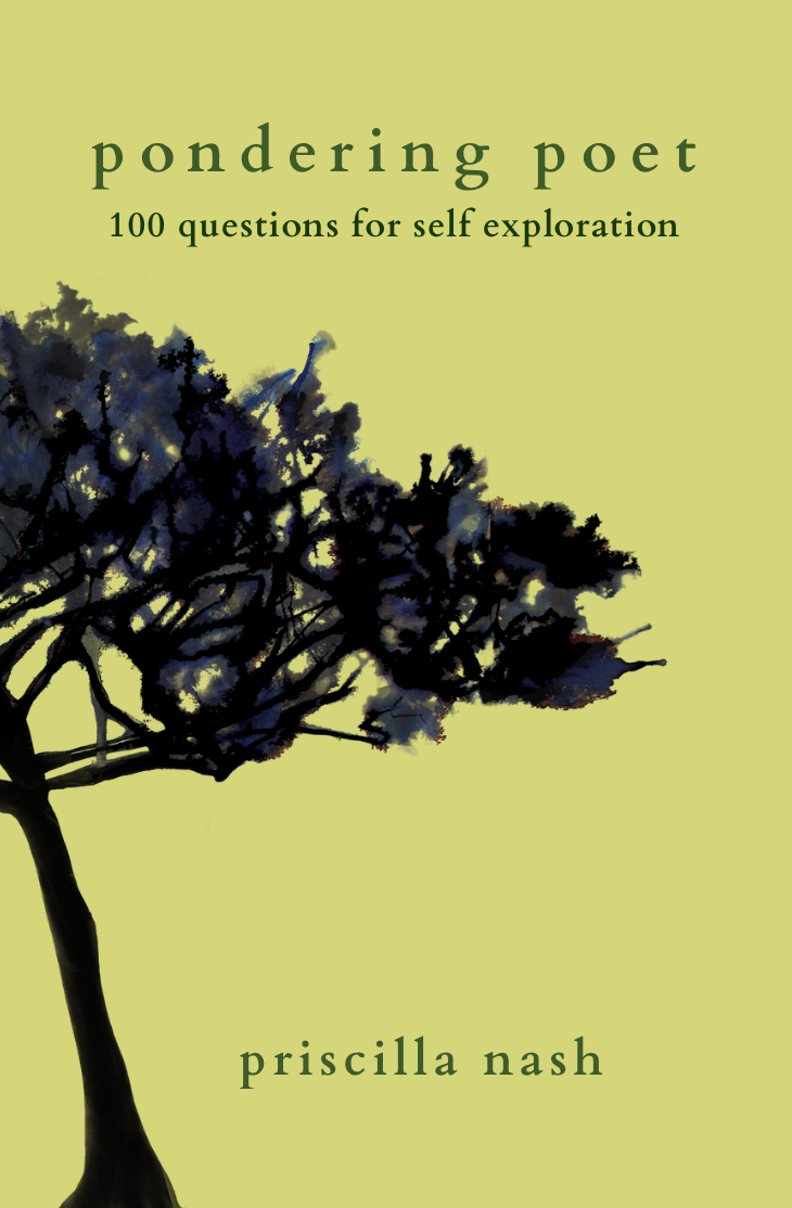 Pondering Poet: A Guided Journal
